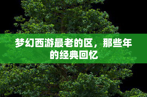 梦幻西游最老的区图片