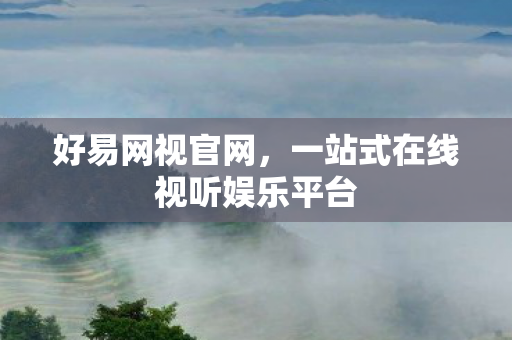 一站式在线视听娱乐平台图片