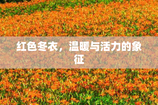 温暖与活力的象征图片