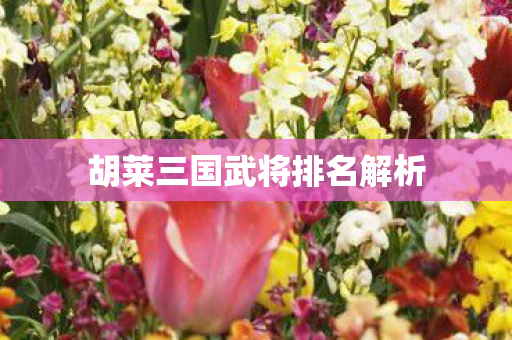 胡莱三国武将排名解析图片