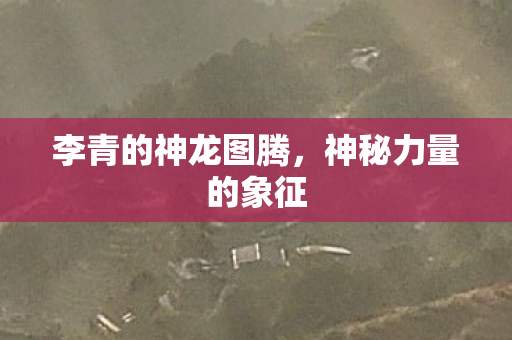 李青的神龙图腾图片
