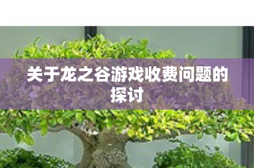 关于龙之谷游戏收费问题的探讨图片