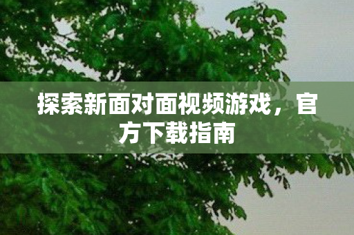 探索新面对面视频游戏图片