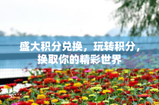 换取你的精彩世界图片