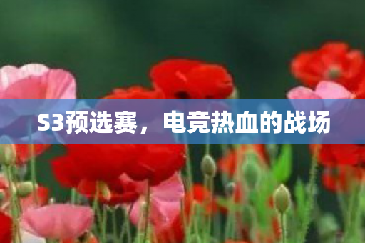 电竞热血的战场图片