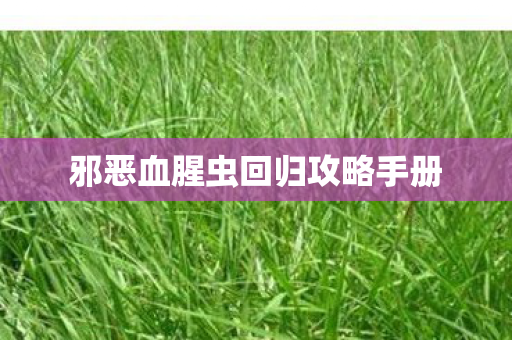 邪恶血腥虫回归攻略手册图片