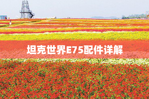 坦克世界E75配件详解图片