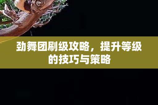 提升等级的技巧与策略图片