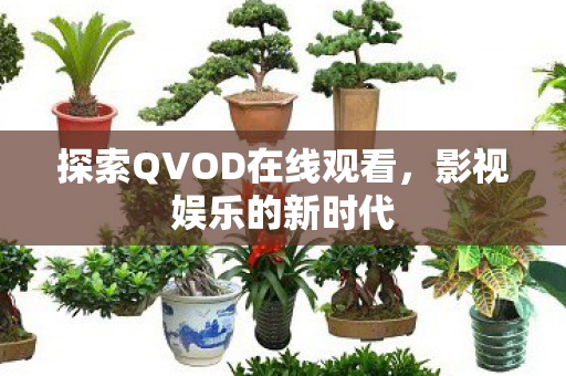 探索QVOD在线观看图片