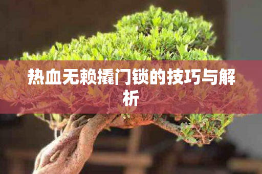 热血无赖撬门锁的技巧与解析图片