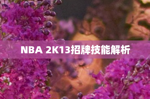 NBA 2K13招牌技能解析图片