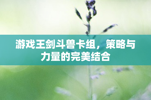 策略与力量的完美结合图片