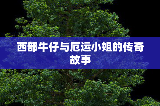 西部牛仔与厄运小姐的传奇故事图片