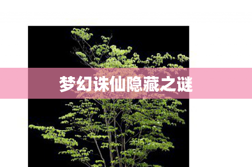 梦幻诛仙隐藏之谜图片