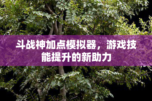 游戏技能提升的新助力图片