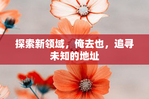 追寻未知的地址图片