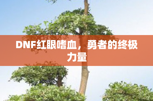 DNF红眼嗜血图片