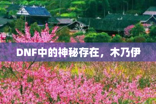 DNF中的神秘存在图片