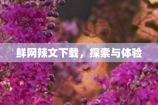 鲜网辣文下载图片