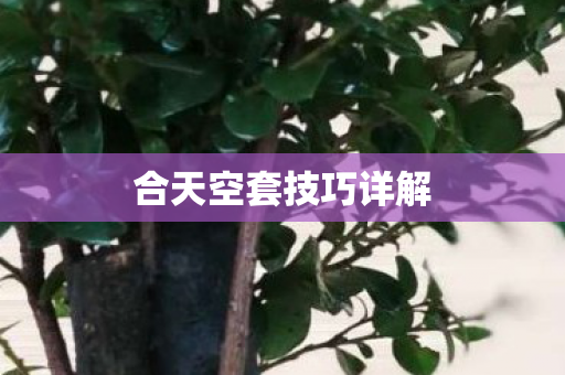 合天空套技巧详解图片