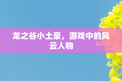 游戏中的风云人物图片