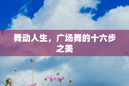 广场舞的十六步之美图片