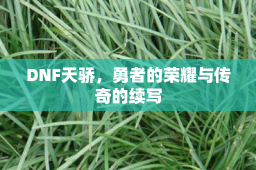 勇者的荣耀与传奇的续写图片