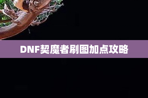 DNF契魔者刷图加点攻略图片