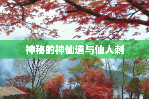 神秘的神仙道与仙人刺图片