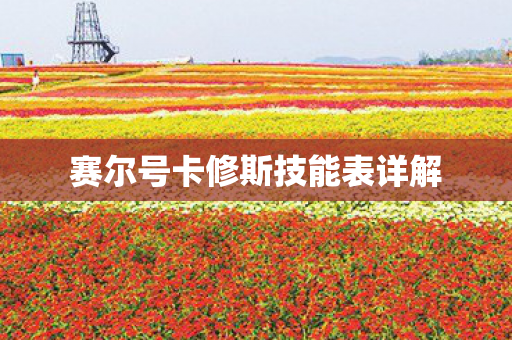 赛尔号卡修斯技能表详解图片
