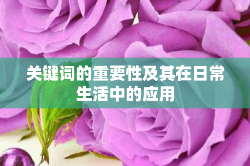 关键词的重要性及其在日常生活中的应用图片