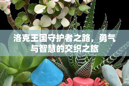 勇气与智慧的交织之旅图片