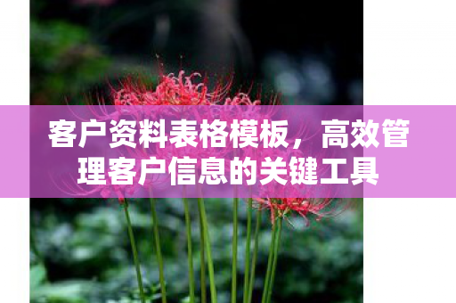高效管理客户信息的关键工具图片