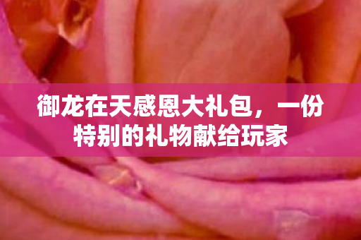 一份特别的礼物献给玩家图片
