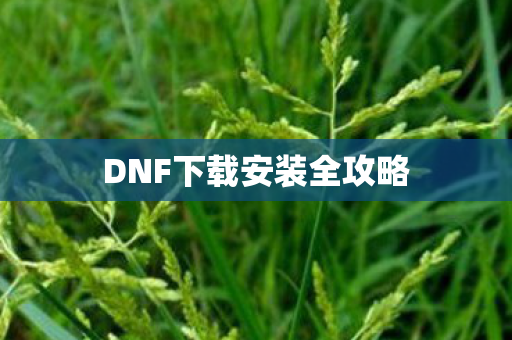 DNF下载安装全攻略图片