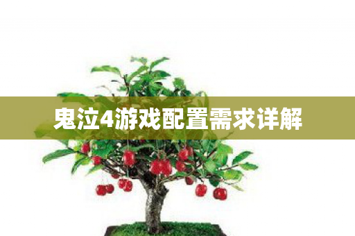 鬼泣4游戏配置需求详解图片