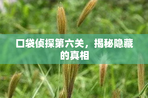 口袋侦探第六关图片