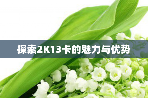 探索2K13卡的魅力与优势图片
