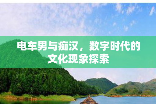 数字时代的文化现象探索图片