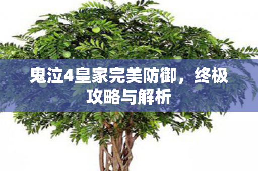 鬼泣4皇家完美防御图片