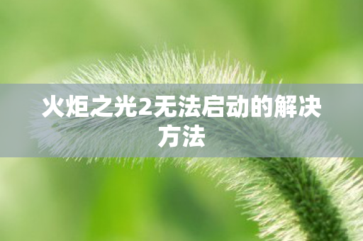 火炬之光2无法启动的解决方法图片