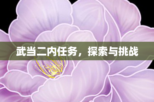 武当二内任务图片