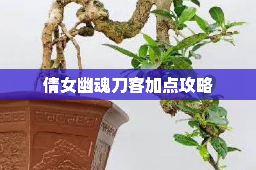 倩女幽魂刀客加点攻略图片