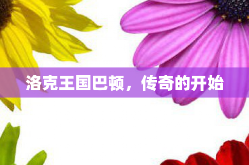 洛克王国巴顿图片
