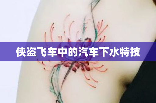 侠盗飞车中的汽车下水特技图片