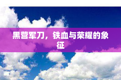 铁血与荣耀的象征图片