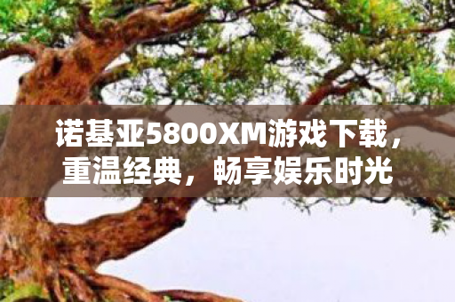 诺基亚5800XM游戏下载图片