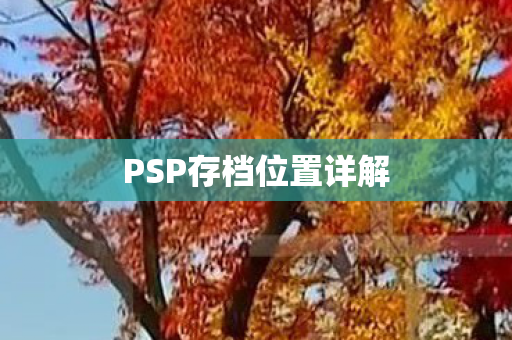 PSP存档位置详解图片
