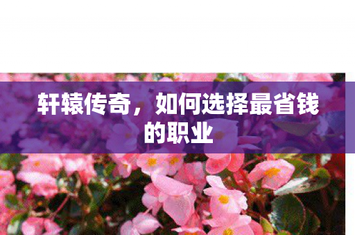 如何选择最省钱的职业图片