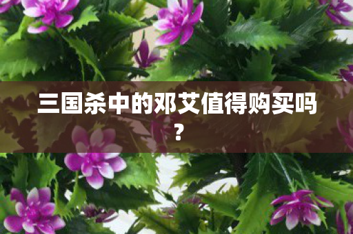 三国杀中的邓艾值得购买吗图片